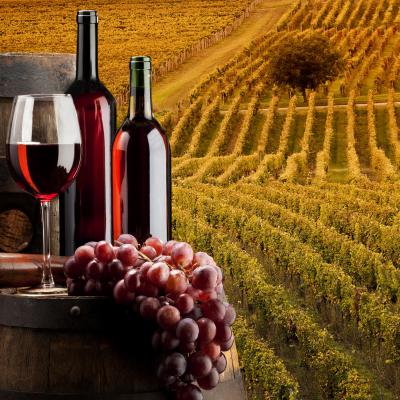Toscana Wine